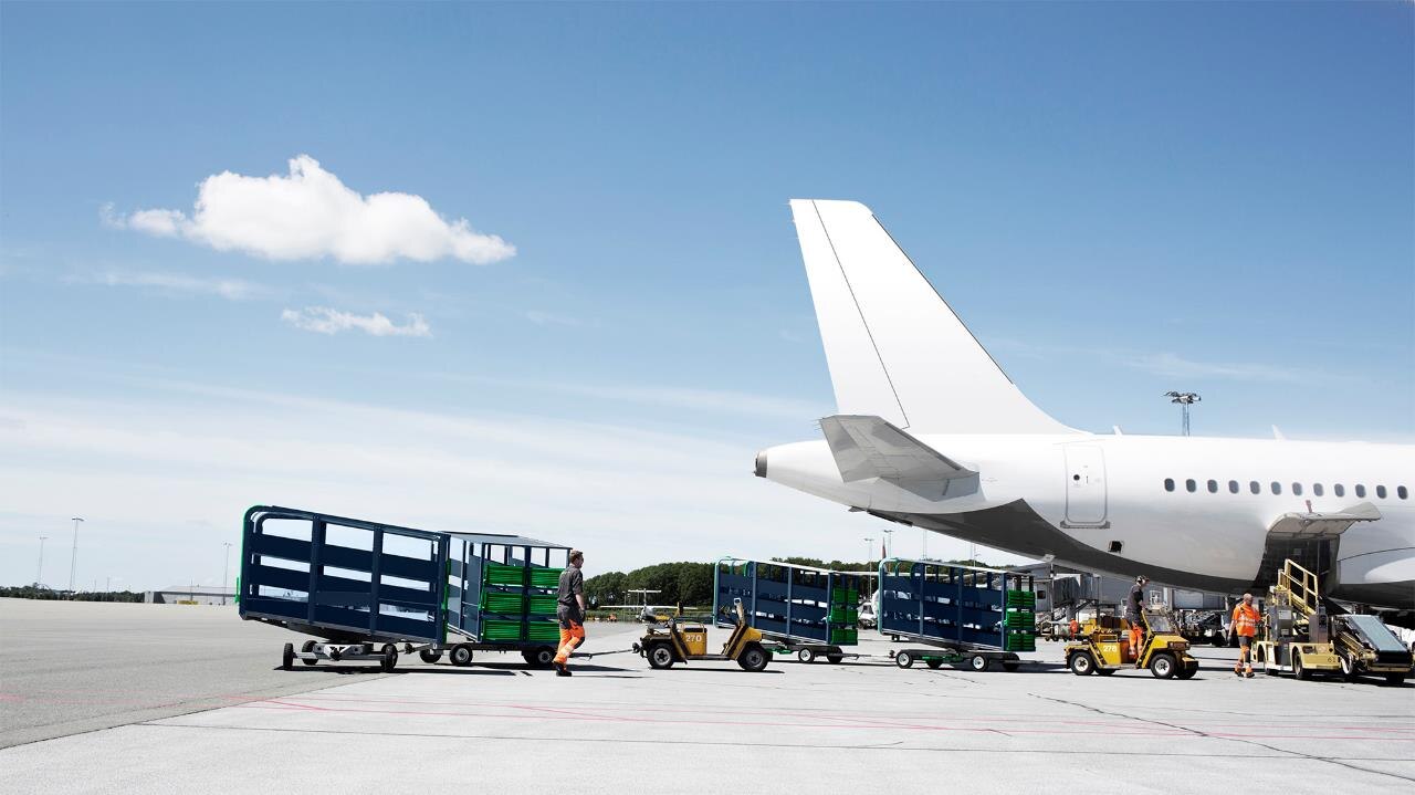 Baggage carts on the tarmac beside an aircraft